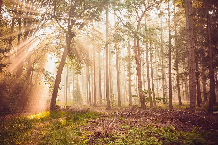 冬奥场馆赛后利用效益显著